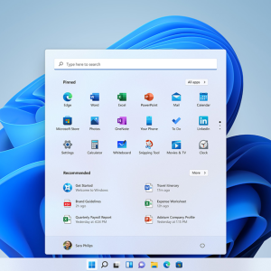 Windows 11 Professional