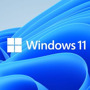 Windows 11 Professional