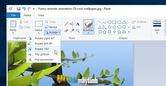 Cách xoay chiều ảnh bằng Paint
