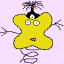 binh