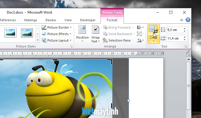 Muốn cắt ảnh / crop ảnh trong Word? Dùng 3 cách này nhé! - Biết 