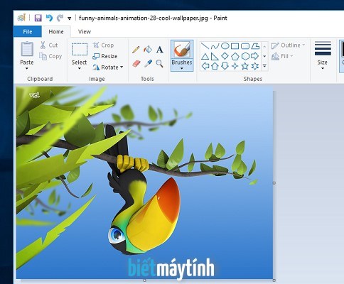 Download Tux Paint 0928  Ứng dụng vẽ dành cho trẻ em taimienphiv