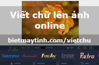 Ghép chữ vào ảnh giờ đây không còn là việc khó như trước đây. Bằng cách sử dụng các công cụ tiện ích trên ứng dụng chỉnh sửa ảnh, bạn có thể dễ dàng thêm các thông điệp, slogan, hay tên mình lên bức ảnh một cách dễ dàng và đẹp mắt.