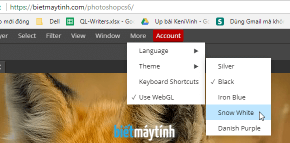 Sử dụng Photoshop CS6 online cơ bản