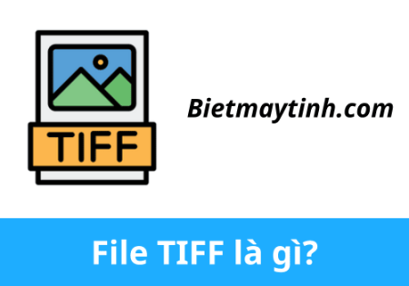 File TIFF là gì? Cách mở file TIFF, top phần mềm mở file TIFF