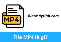 File MP4 là gì? Phần mềm mở file đuôi MP4