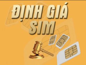 Định giá sim là gì? Những yếu tố giúp định giá chuẩn và nhanh