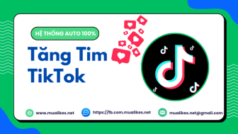 Giới thiệu MuaLikes.Net – Dịch vụ tăng tim TikTok uy tín, hiệu Quả